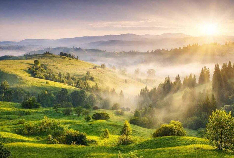 Kodaikanal Sightseeing Assistance